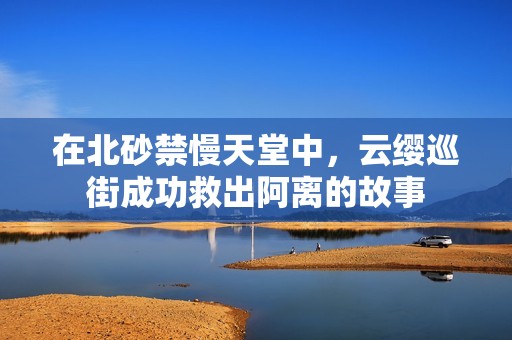 在北砂禁慢天堂中，云缨巡街成功救出阿离的故事