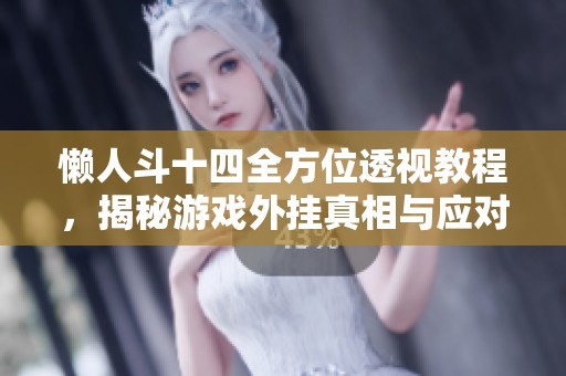 懒人斗十四全方位透视教程，揭秘游戏外挂真相与应对策略