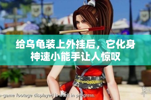 给乌龟装上外挂后，它化身神速小能手让人惊叹