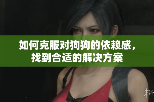 如何克服对狗狗的依赖感，找到合适的解决方案