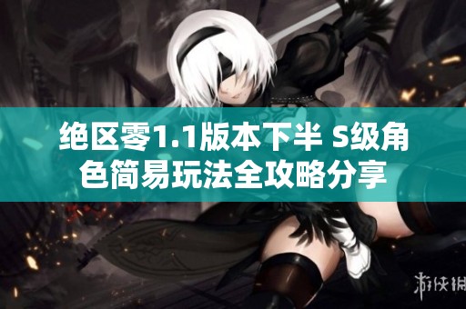 绝区零1.1版本下半 S级角色简易玩法全攻略分享