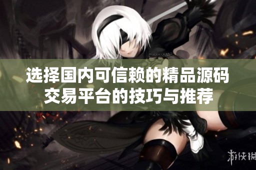 选择国内可信赖的精品源码交易平台的技巧与推荐