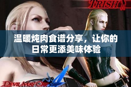 温暖炖肉食谱分享，让你的日常更添美味体验