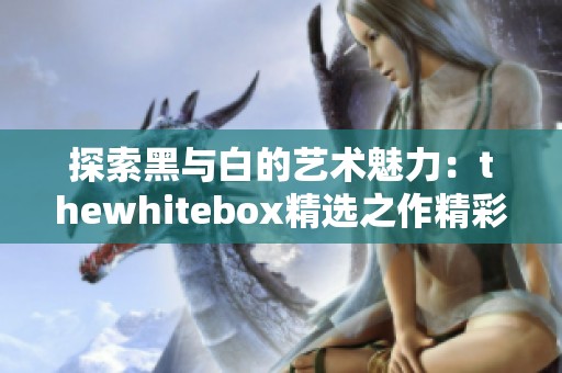 探索黑与白的艺术魅力：thewhitebox精选之作精彩呈现