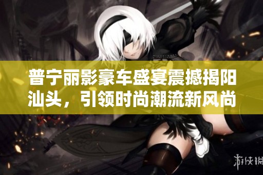 普宁丽影豪车盛宴震撼揭阳汕头，引领时尚潮流新风尚