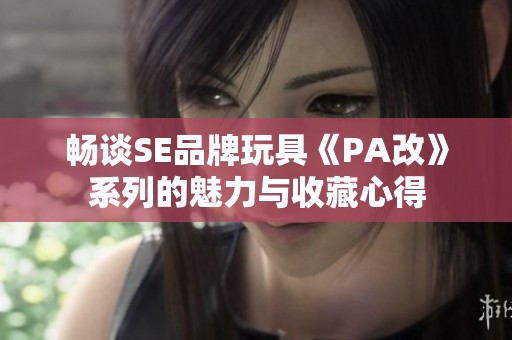 畅谈SE品牌玩具《PA改》系列的魅力与收藏心得