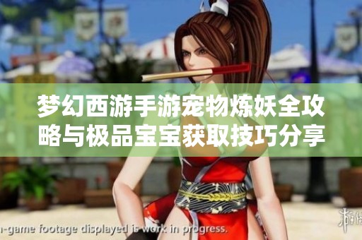 梦幻西游手游宠物炼妖全攻略与极品宝宝获取技巧分享
