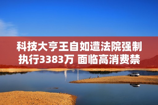 科技大亨王自如遭法院强制执行3383万 面临高消费禁令困境