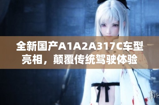 全新国产A1A2A317C车型亮相，颠覆传统驾驶体验