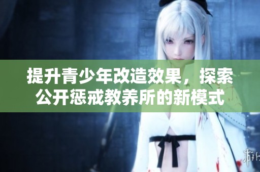 提升青少年改造效果，探索公开惩戒教养所的新模式