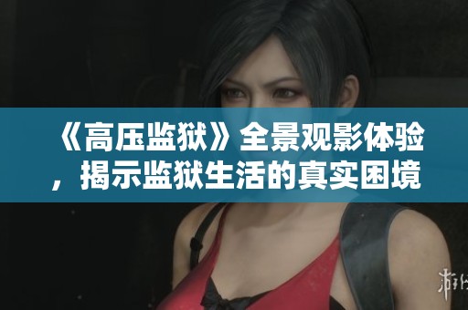 《高压监狱》全景观影体验，揭示监狱生活的真实困境与挣扎