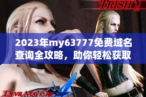 2023年my63777免费域名查询全攻略，助你轻松获取优质域名