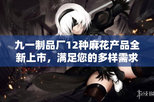 九一制品厂12种麻花产品全新上市，满足您的多样需求