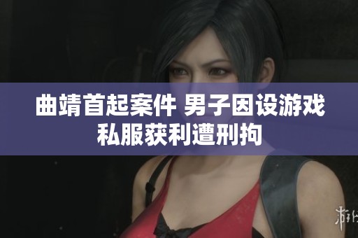 曲靖首起案件 男子因设游戏私服获利遭刑拘