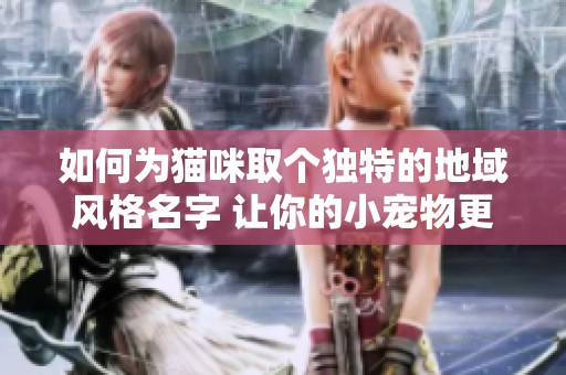 如何为猫咪取个独特的地域风格名字 让你的小宠物更有个性