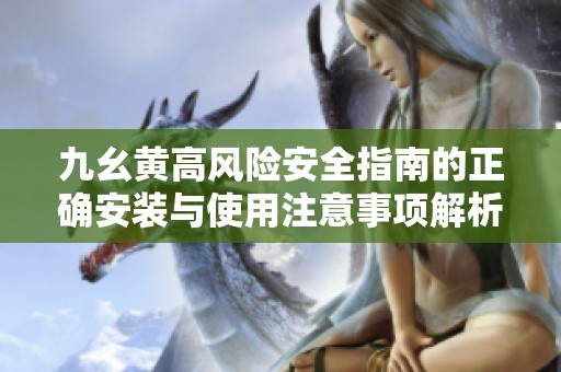 九幺黄高风险安全指南的正确安装与使用注意事项解析