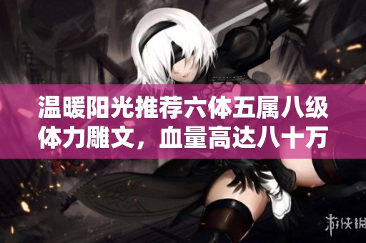 温暖阳光推荐六体五属八级体力雕文，血量高达八十万