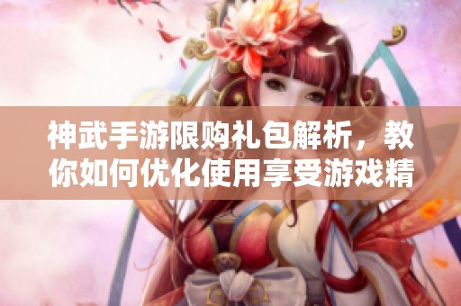 神武手游限购礼包解析，教你如何优化使用享受游戏精彩体验