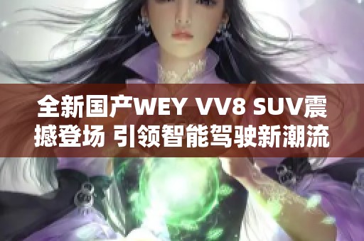 全新国产WEY VV8 SUV震撼登场 引领智能驾驶新潮流