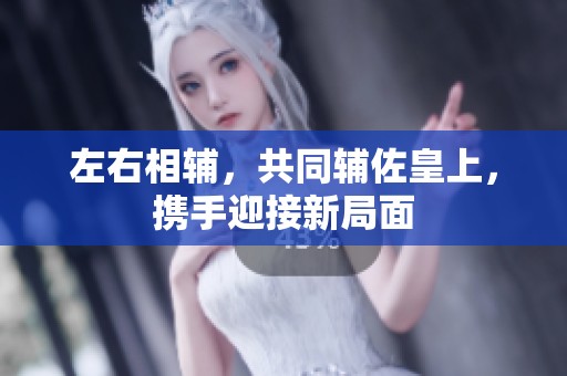 左右相辅，共同辅佐皇上，携手迎接新局面