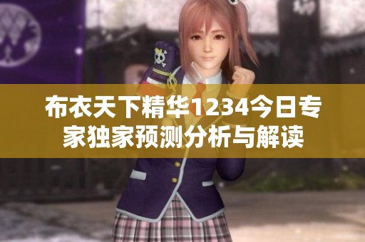 布衣天下精华1234今日专家独家预测分析与解读