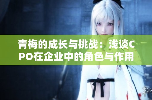 青梅的成长与挑战：浅谈CPO在企业中的角色与作用