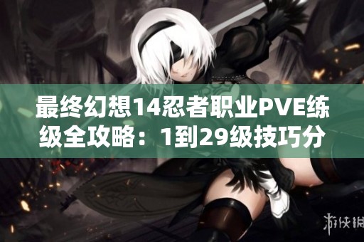 最终幻想14忍者职业PVE练级全攻略：1到29级技巧分享