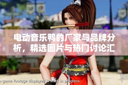 电动音乐鸭的厂家与品牌分析，精选图片与热门讨论汇总