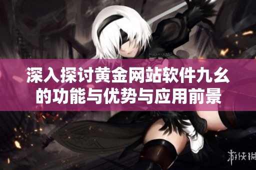 深入探讨黄金网站软件九幺的功能与优势与应用前景