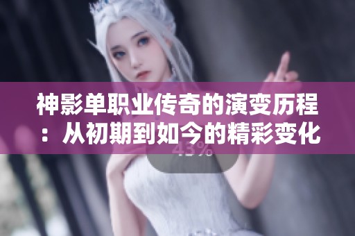 神影单职业传奇的演变历程：从初期到如今的精彩变化