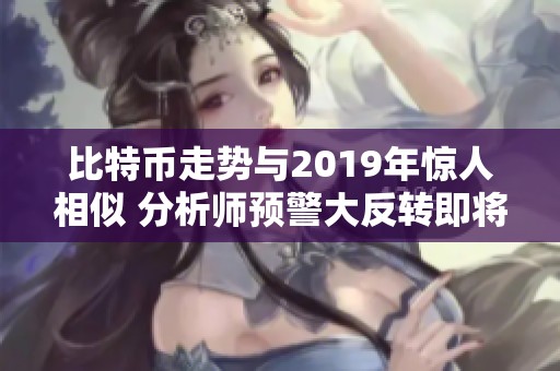 比特币走势与2019年惊人相似 分析师预警大反转即将来临