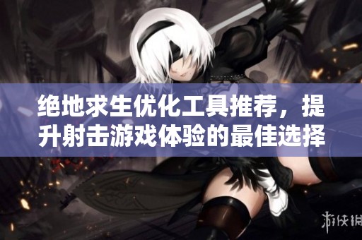 绝地求生优化工具推荐，提升射击游戏体验的最佳选择