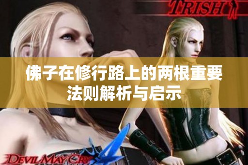 佛子在修行路上的两根重要法则解析与启示