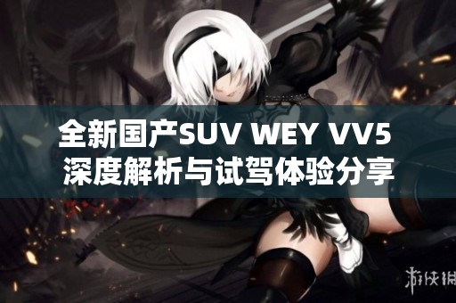 全新国产SUV WEY VV5 深度解析与试驾体验分享