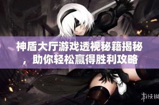 神盾大厅游戏透视秘籍揭秘，助你轻松赢得胜利攻略