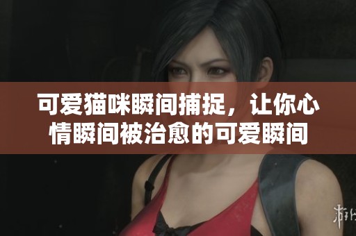 可爱猫咪瞬间捕捉，让你心情瞬间被治愈的可爱瞬间