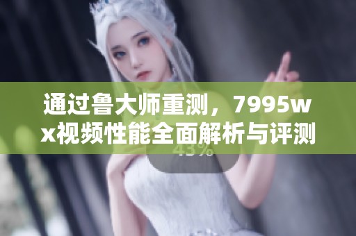 通过鲁大师重测，7995wx视频性能全面解析与评测报告