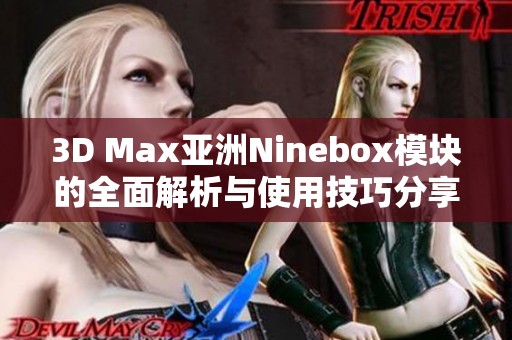 3D Max亚洲Ninebox模块的全面解析与使用技巧分享