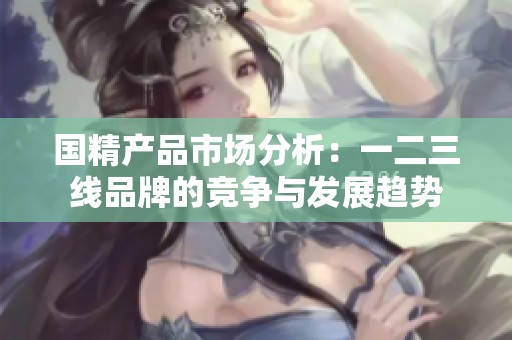 国精产品市场分析：一二三线品牌的竞争与发展趋势