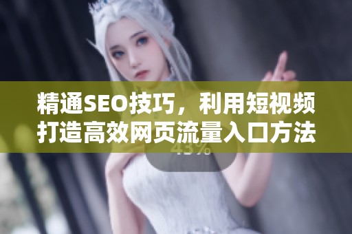 精通SEO技巧，利用短视频打造高效网页流量入口方法