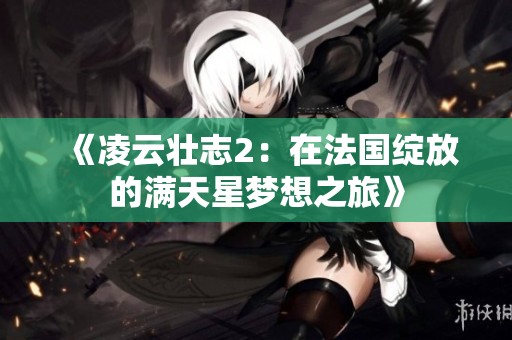 《凌云壮志2：在法国绽放的满天星梦想之旅》