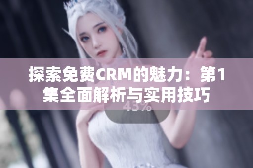 探索免费CRM的魅力：第1集全面解析与实用技巧