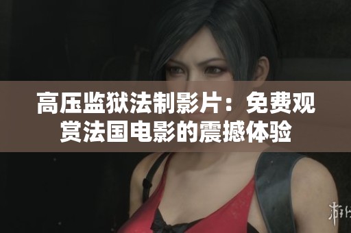高压监狱法制影片：免费观赏法国电影的震撼体验