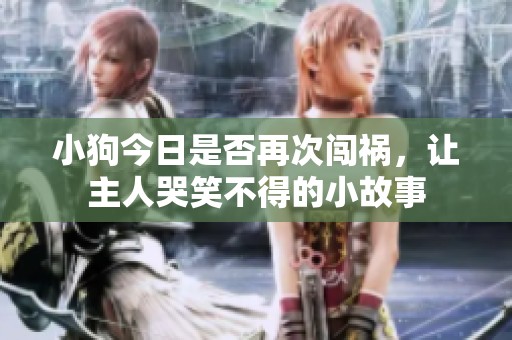 小狗今日是否再次闯祸，让主人哭笑不得的小故事