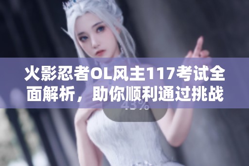 火影忍者OL风主117考试全面解析，助你顺利通过挑战