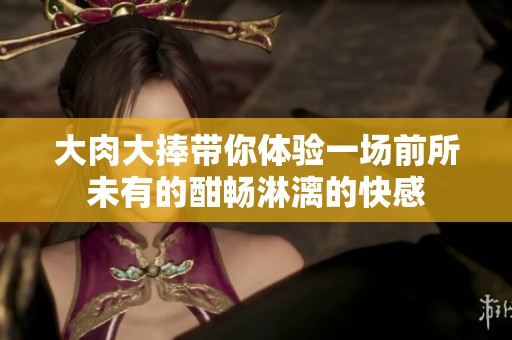 大肉大捧带你体验一场前所未有的酣畅淋漓的快感