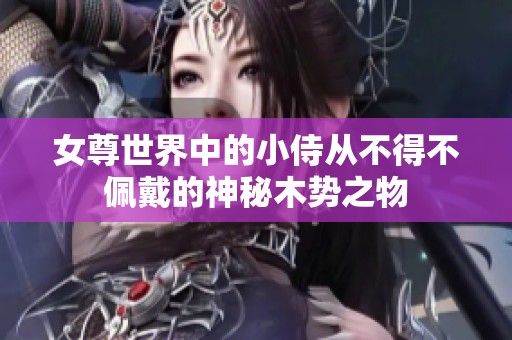 女尊世界中的小侍从不得不佩戴的神秘木势之物