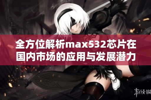 全方位解析max532芯片在国内市场的应用与发展潜力