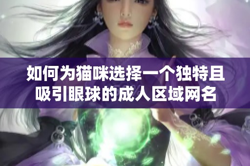 如何为猫咪选择一个独特且吸引眼球的成人区域网名