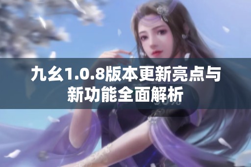 九幺1.0.8版本更新亮点与新功能全面解析
